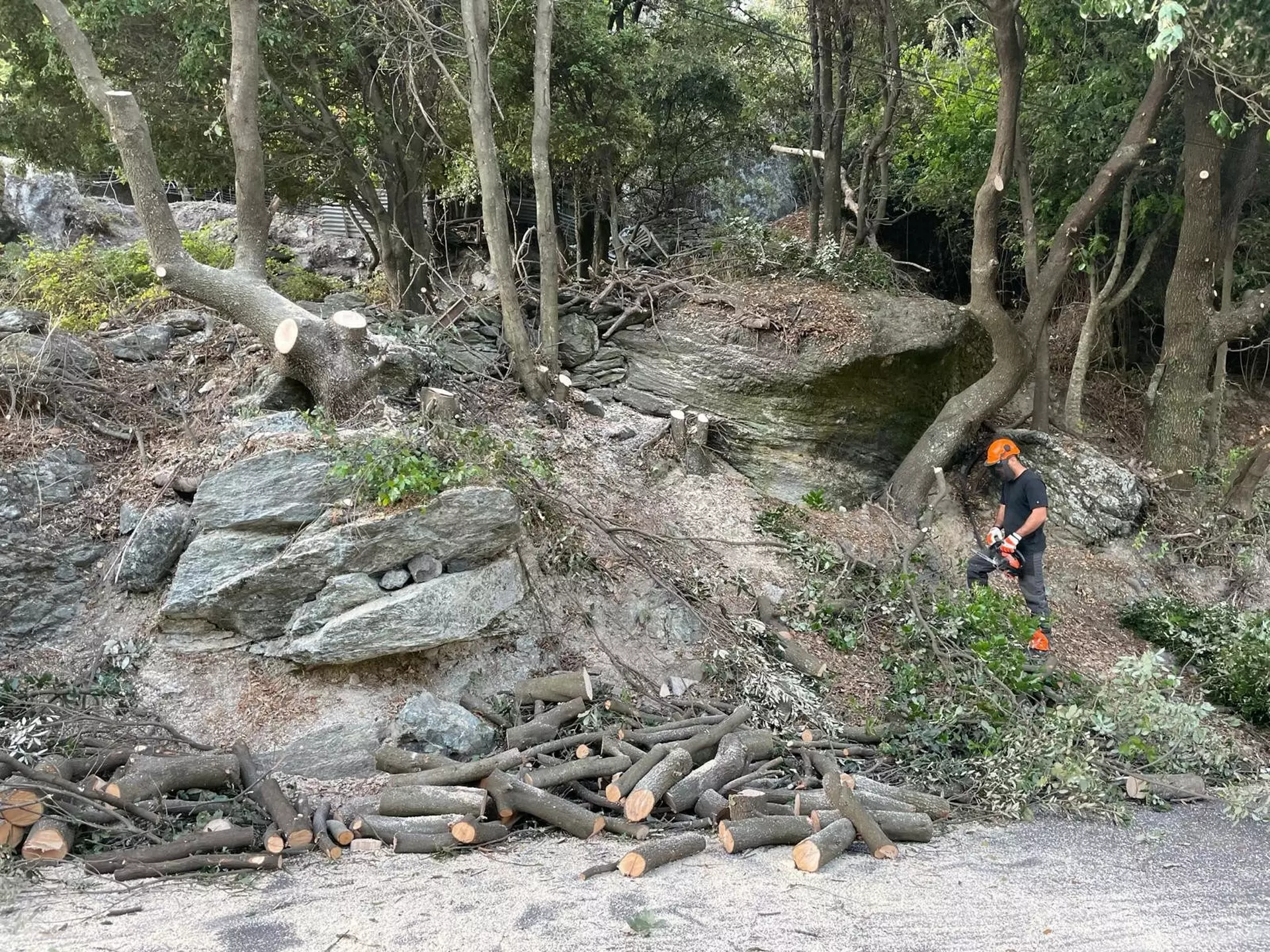 Expert en élagage, abattage et travaux paysagers en Haute-Corse