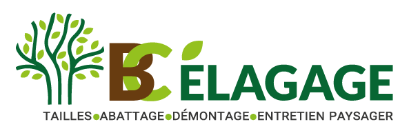 logo Expert en élagage, abattage et travaux paysagers en Haute-Corse
